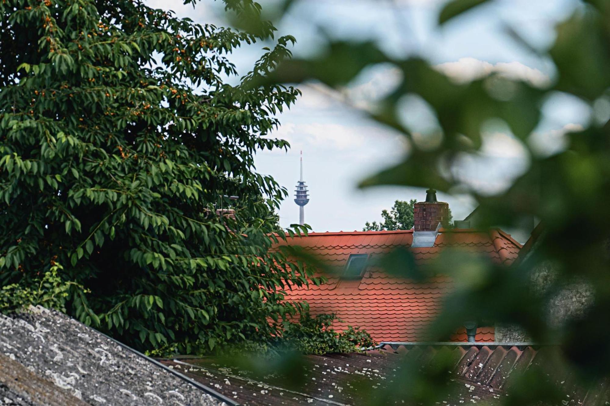Ferienwohnung Schleicher Mit Klimaanlage Цирндорф Екстер'єр фото